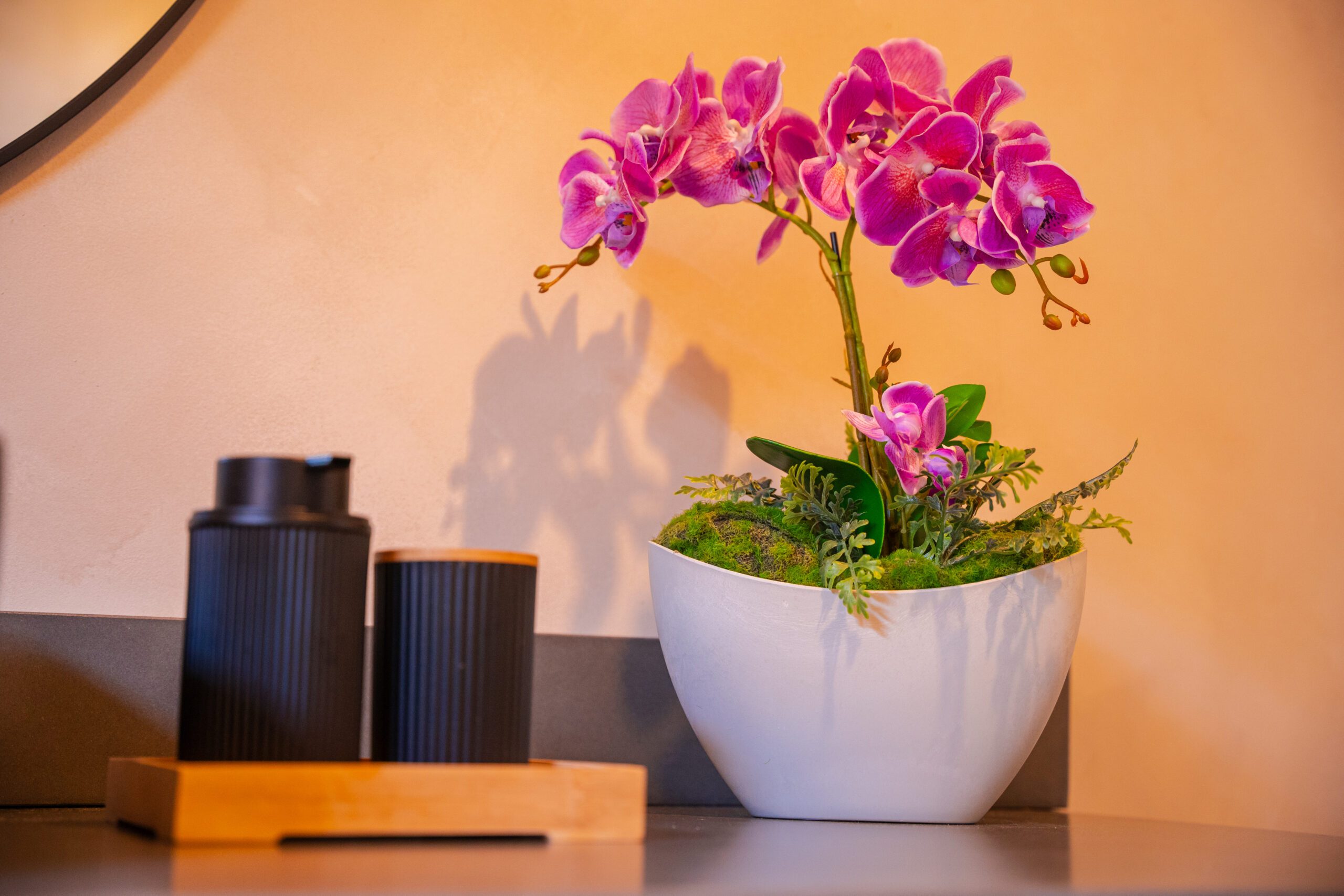 cabaña turpial amarillo foto orquidea.